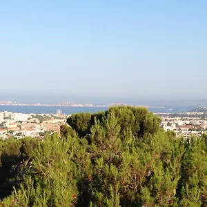 Polema Marsiglia